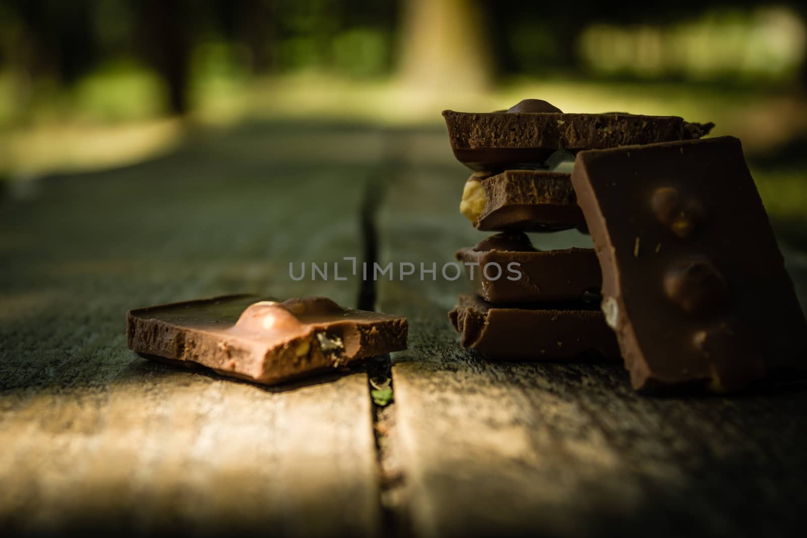 Chocolate pieces on a wooden table in park