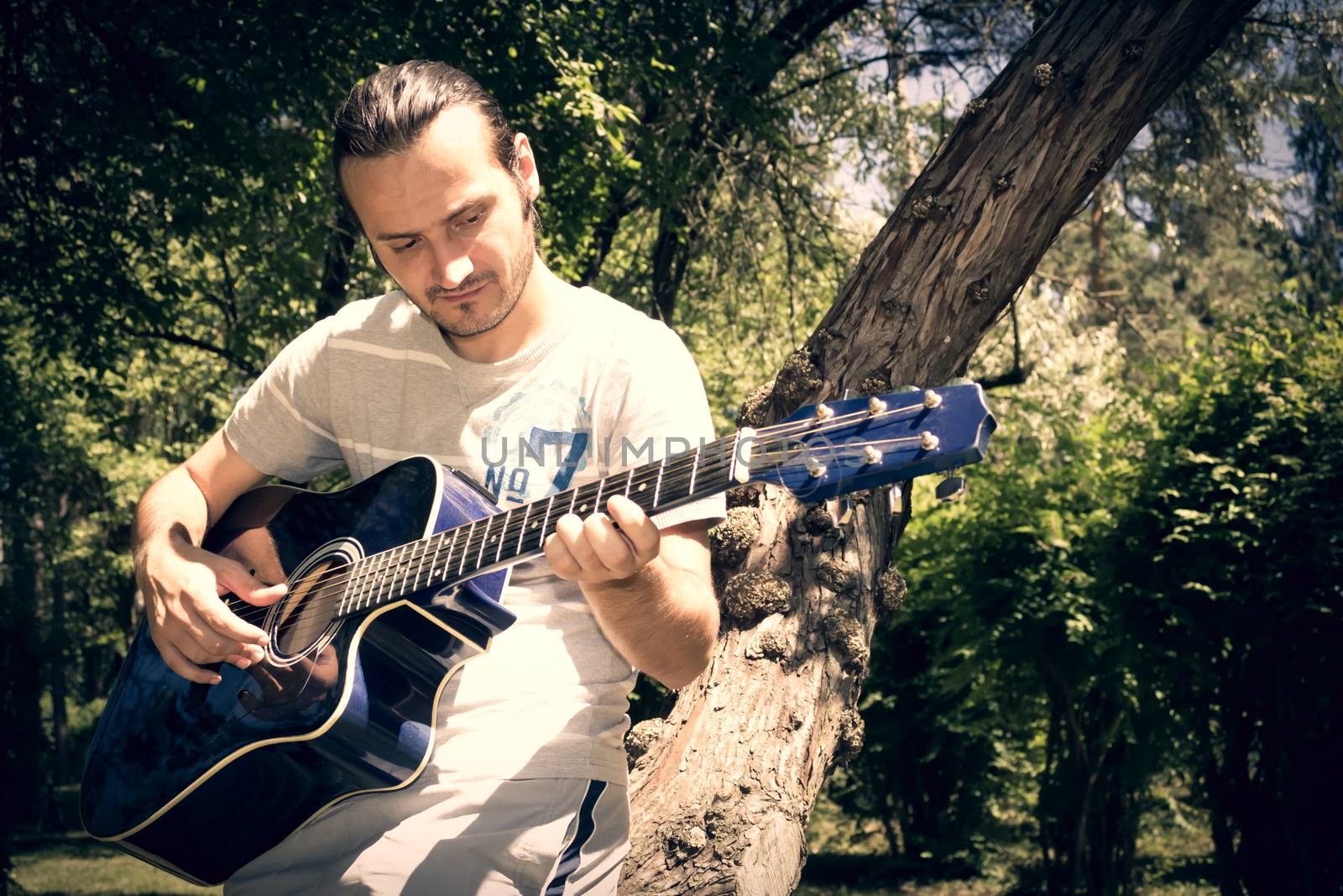 Guitar player singing in a park sitting on a tree