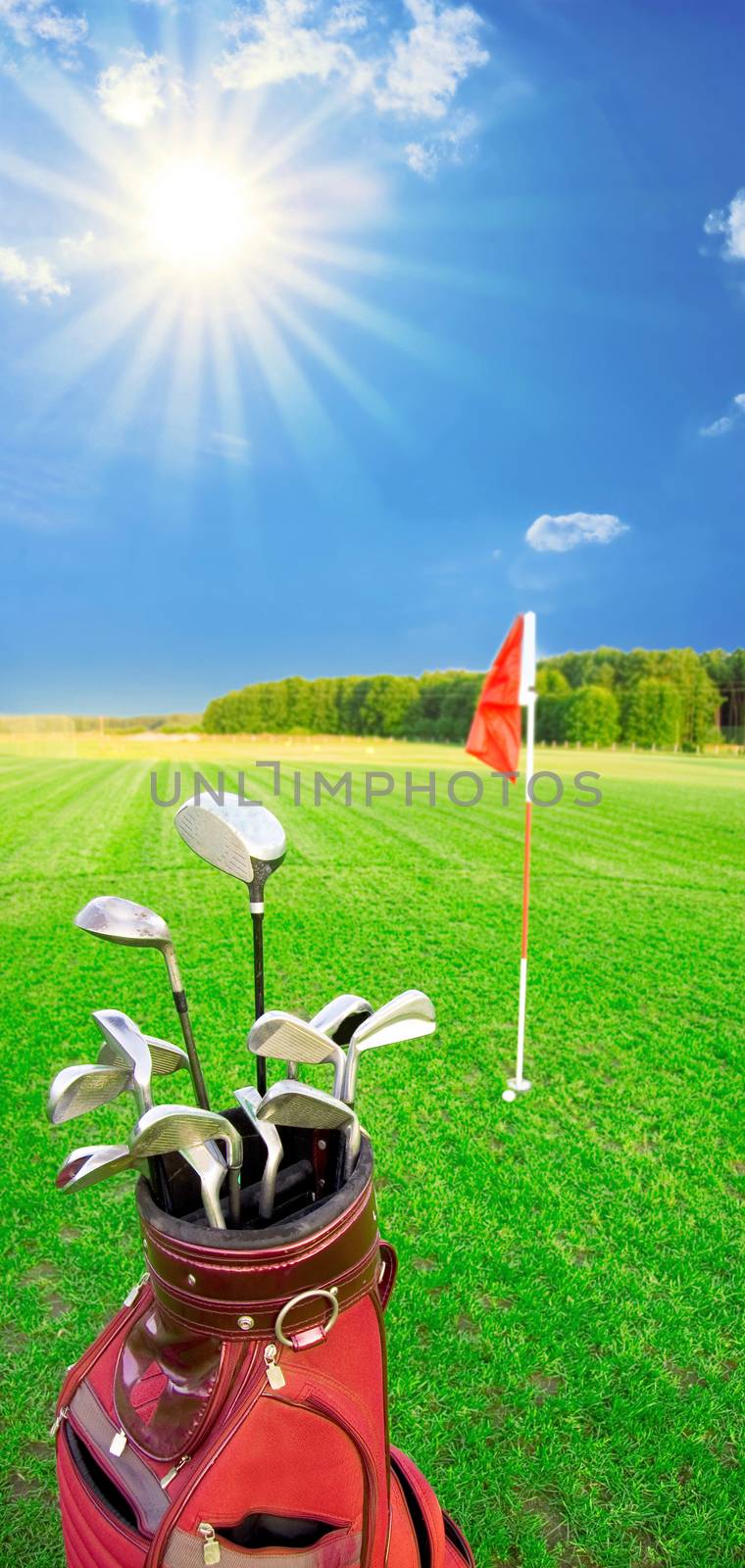 Golf game. Golf clubs in bag against the golf course with bright sun.