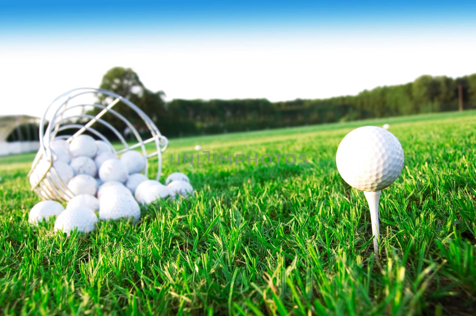 Golf game. Golf balls in grass.