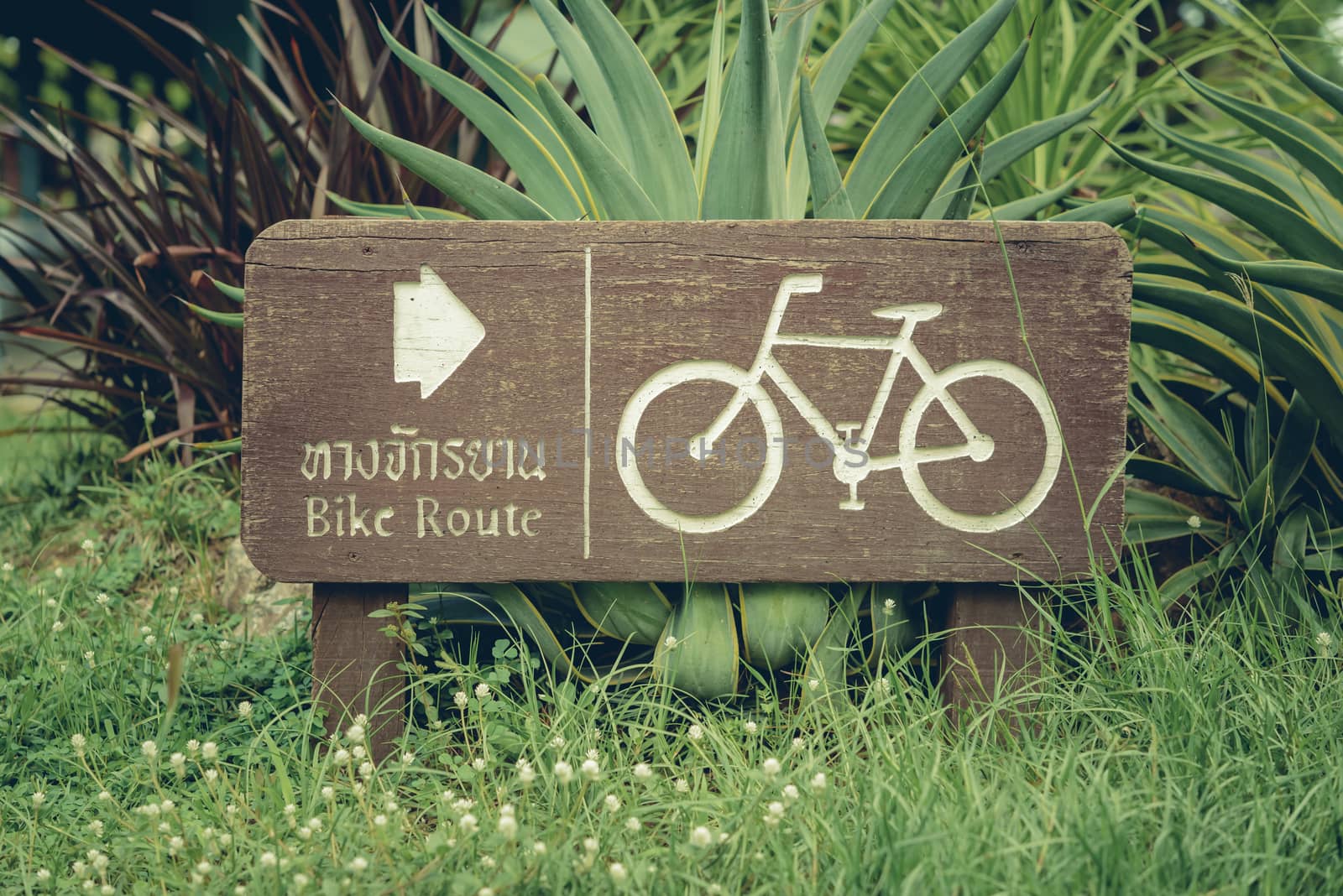 Bike route or bike lane or icon and movement of cyclist in the park.Bangkok, Thailand
