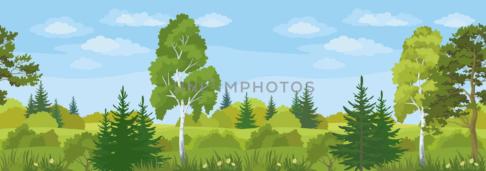 Seamless Horizontal Summer Landscape, Forest with Pines, Birches and Fir Trees, Flowers, Green Grass and Blue Sky with Clouds. 