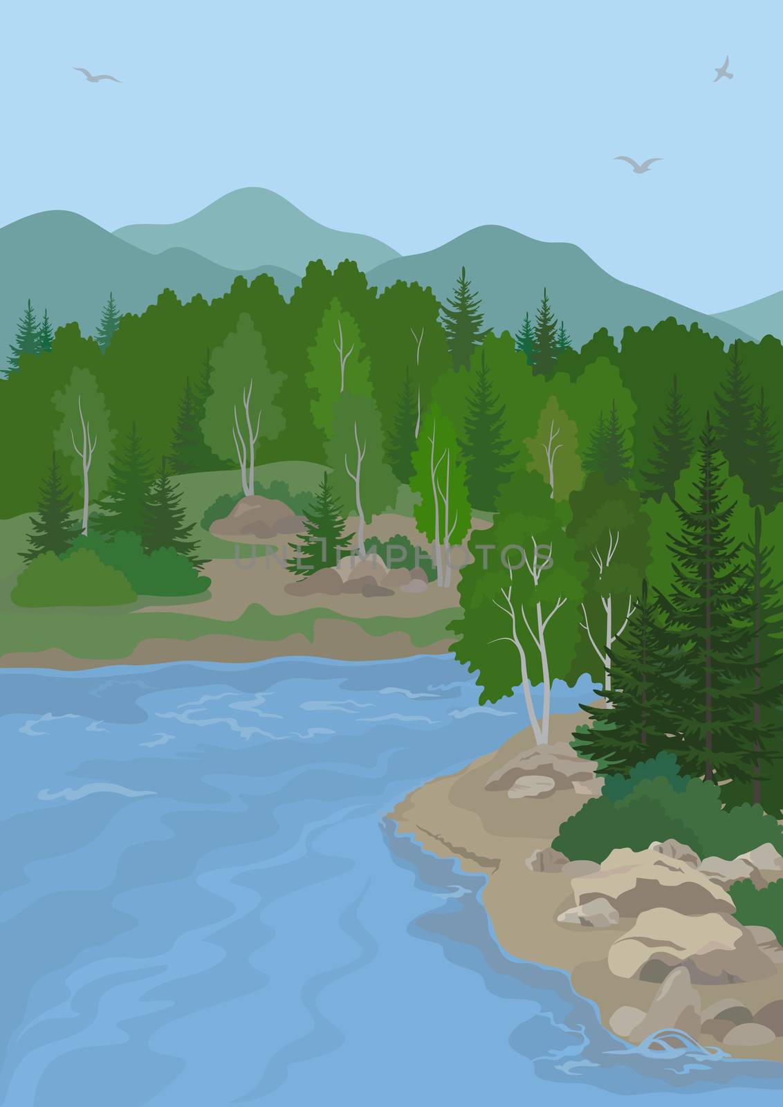 Landscape with Birch and Fir Trees on the Shore of a Mountain Lake under a Blue Sky with Birds. 