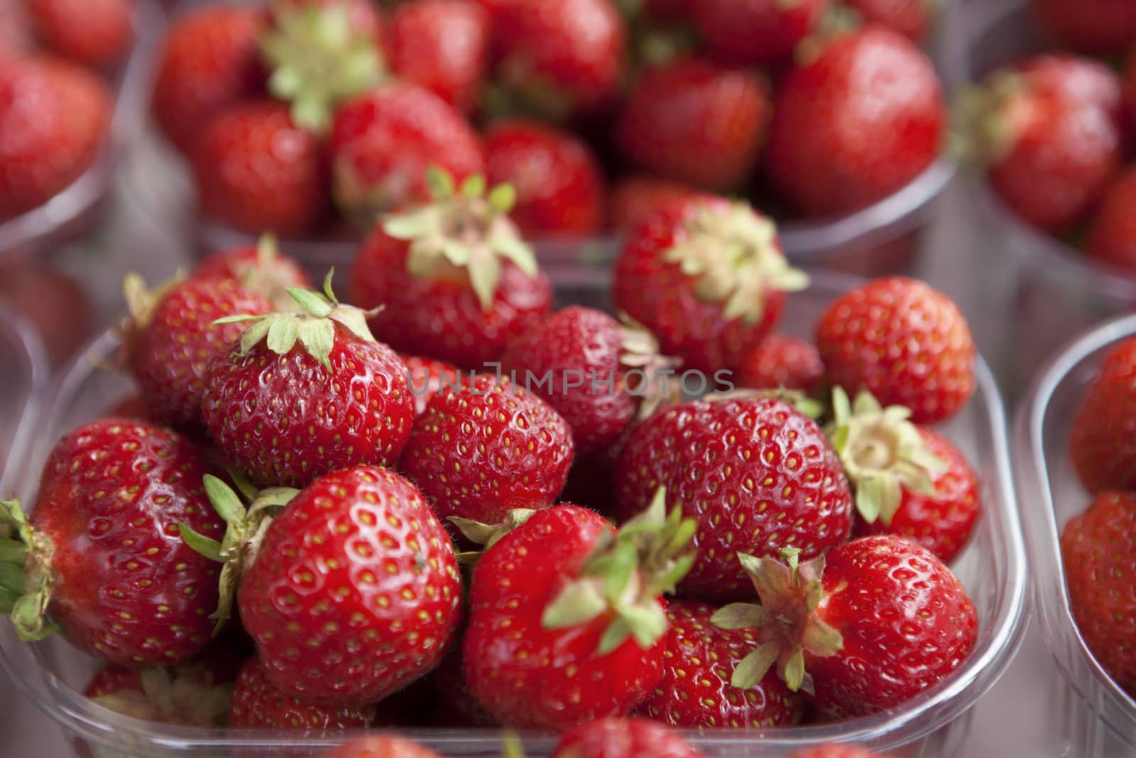 Fresh juicy strawberry on the market.