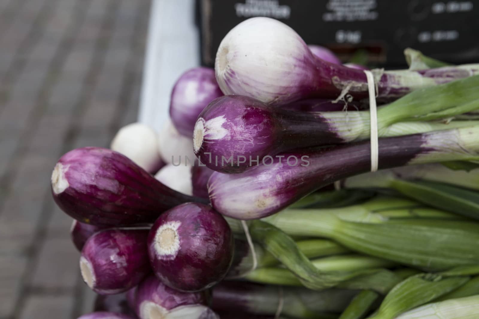 Fresh clean  onion on the market.