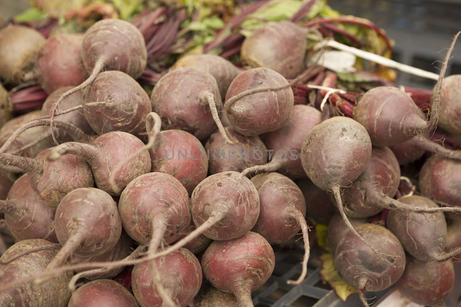 Fresh clean  beet on the market by mcherevan