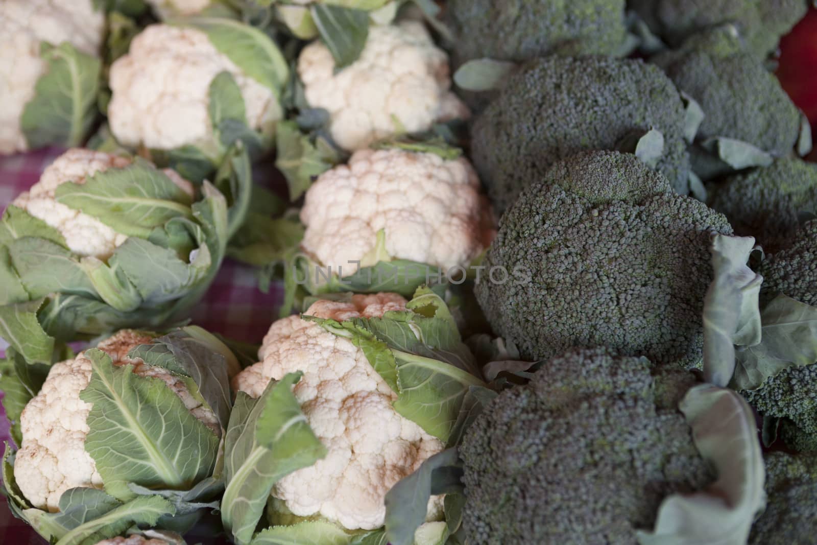 Fresh vegetables Brussels sprouts  farmers market in Finland.