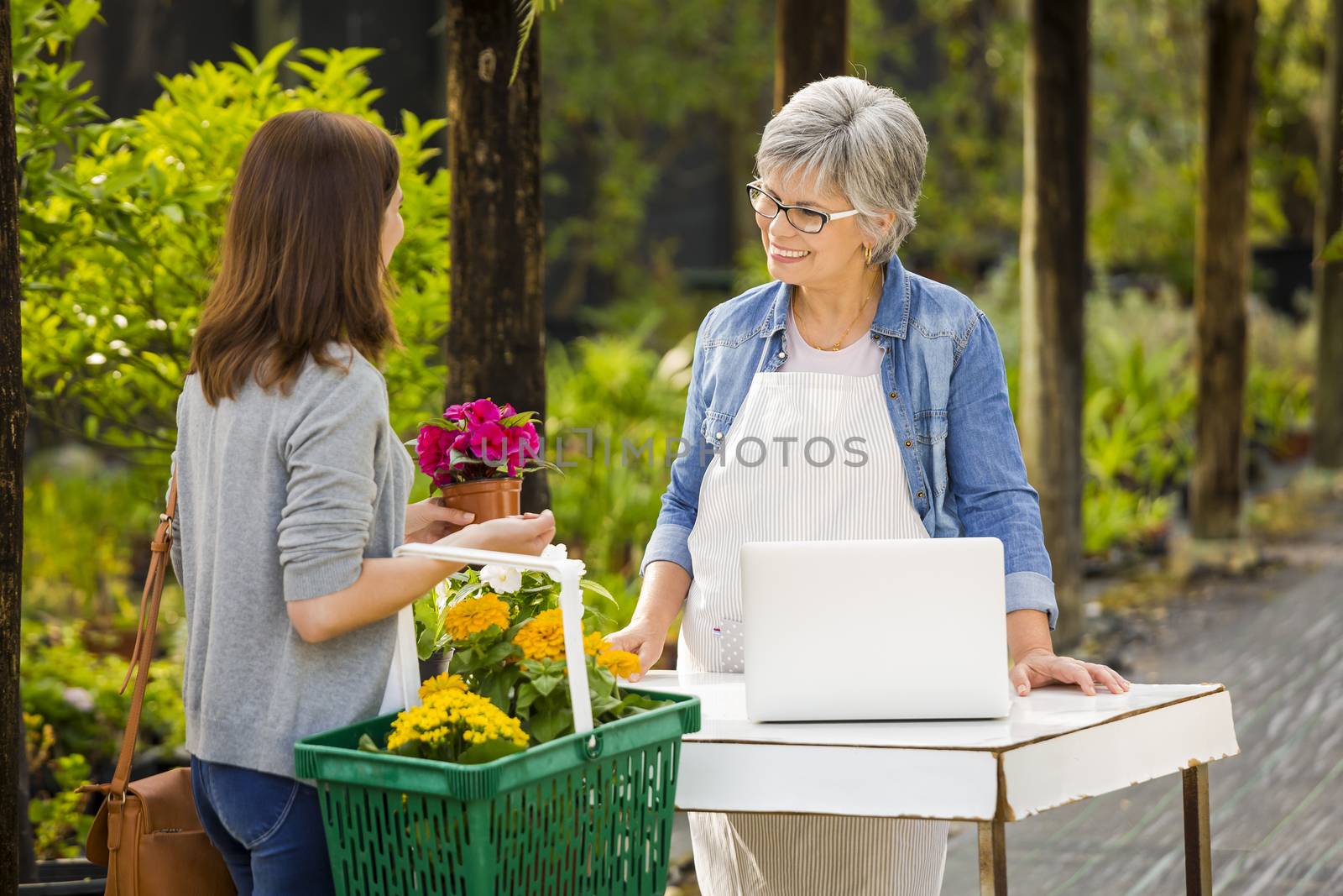 Worker and customer in a green house by Iko