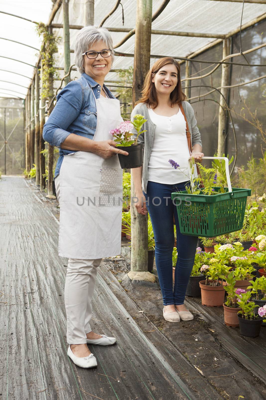 Worker and customer in a green house by Iko