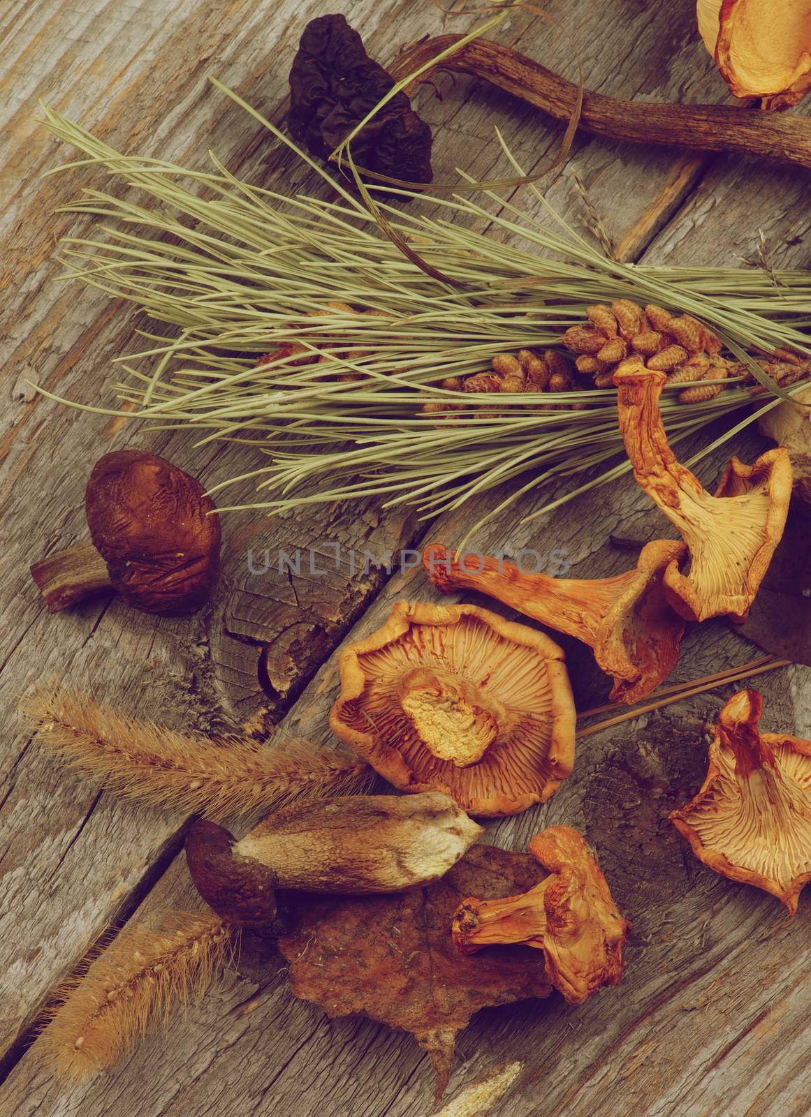 Heap of Dried Forest Chanterelles, Porcini and Boletus Mushrooms with Dry Grass, Leafs and Fir Stems on Rustic Wooden background. Retro Style