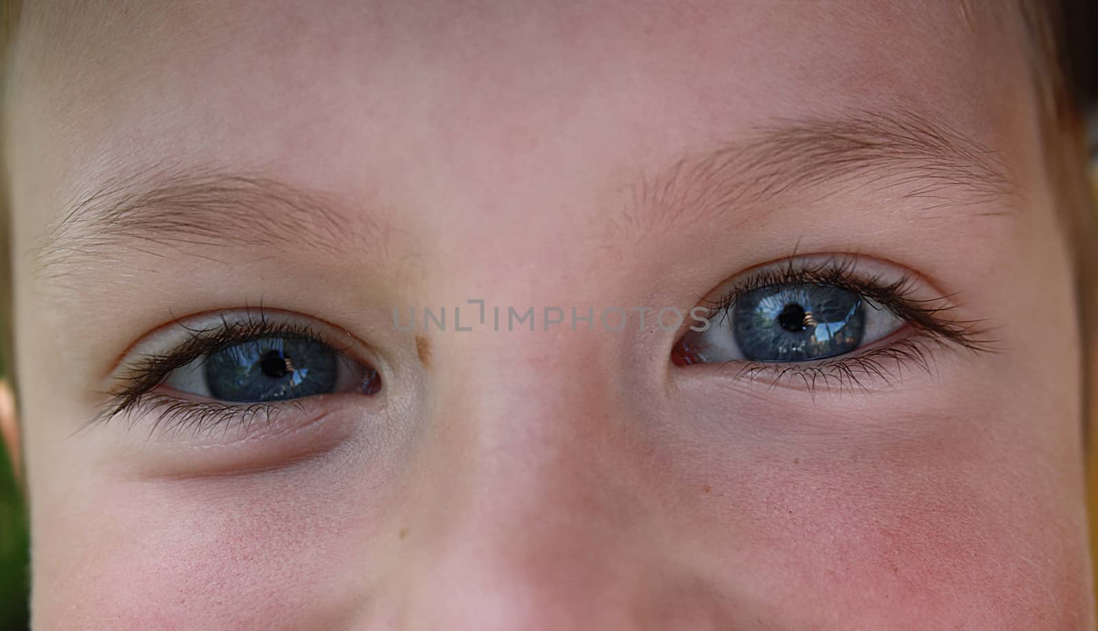 macro shot of children's blue eyes with long eyelashes