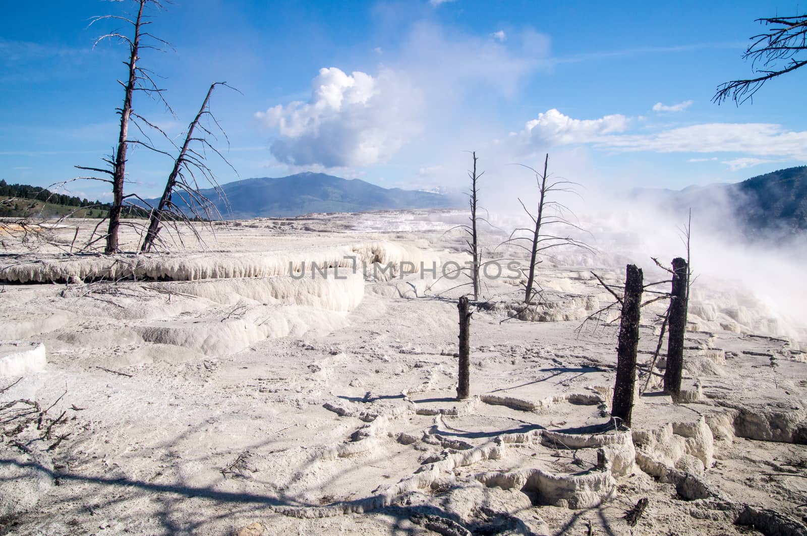 Mammoth Hot Springs Terraces by emattil