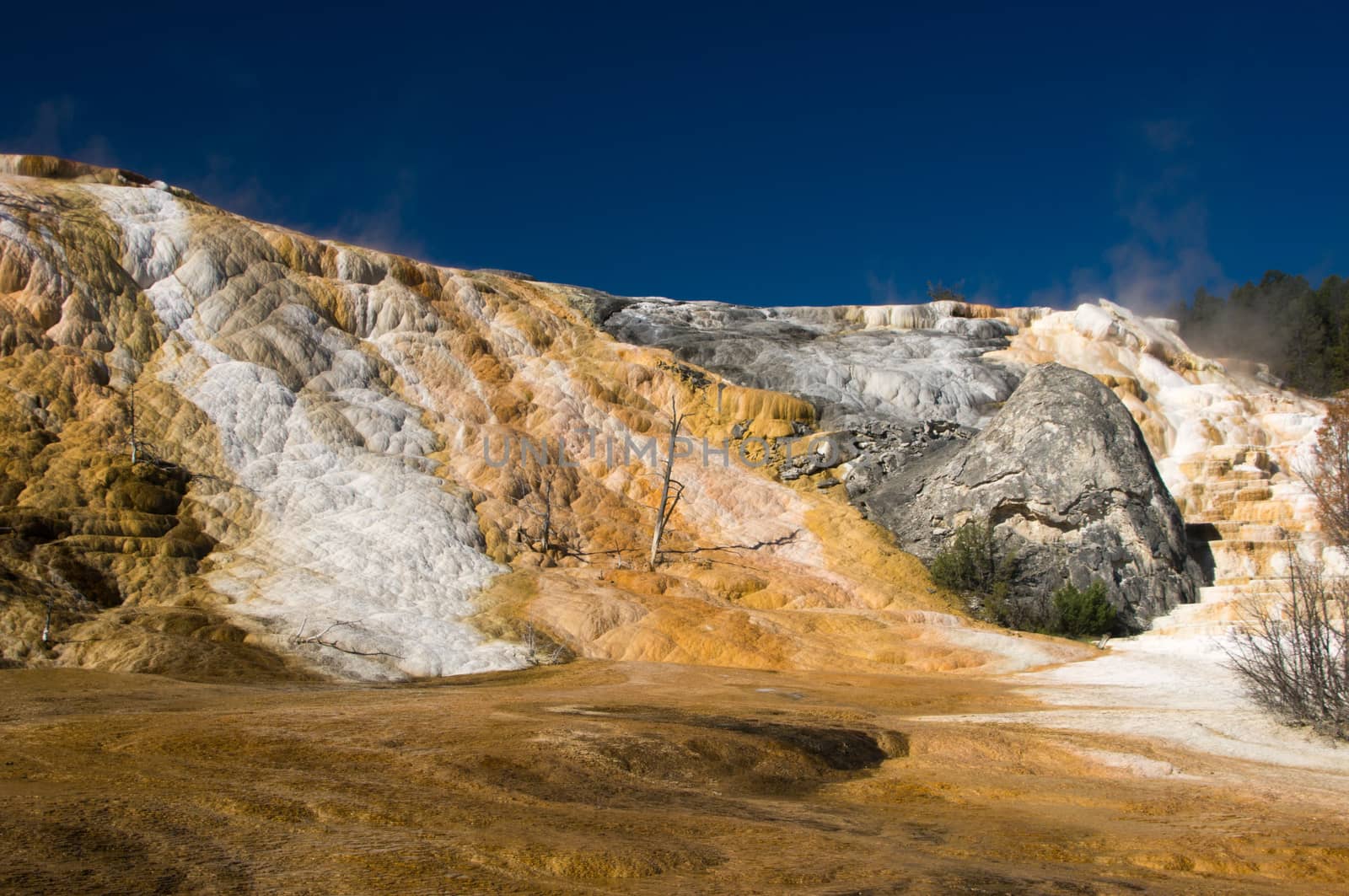 Colorful thermal terraces of Mammoth Hot Springs