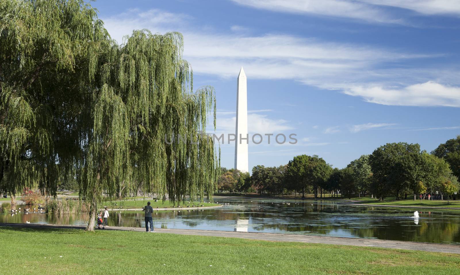 Washington Monument - Washington D.C., USA by hanusst