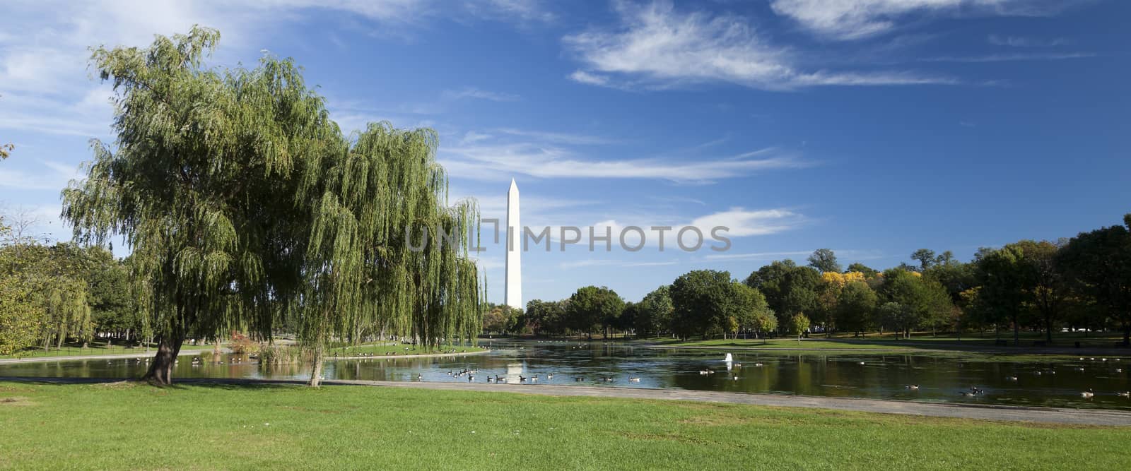 Washington Monument at Sunset