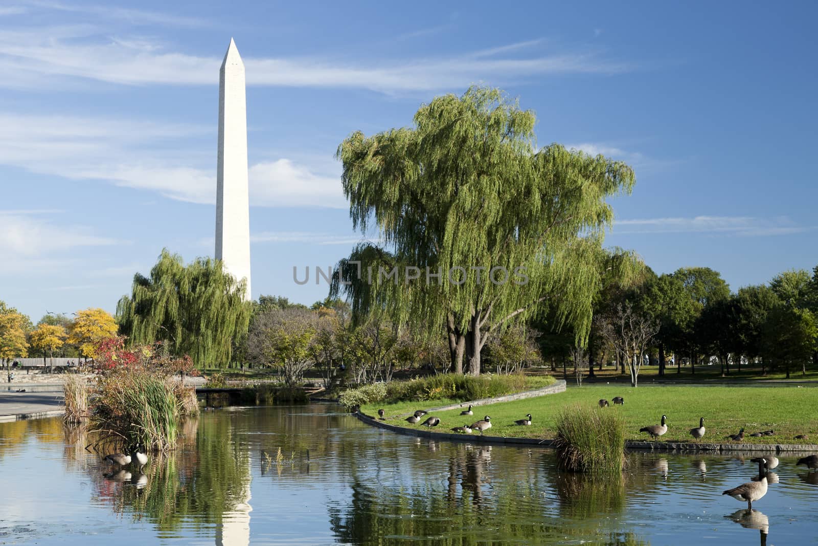 Washington Monument by hanusst