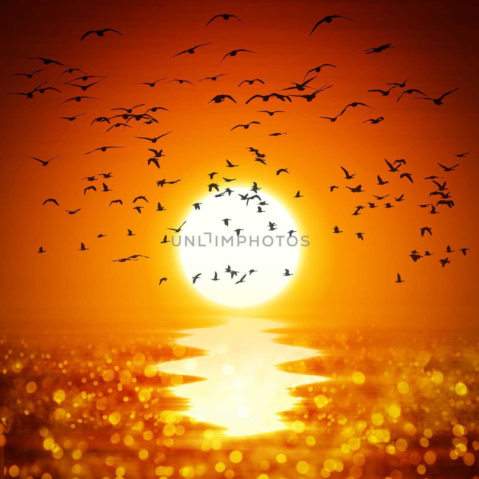 Illustration of a yellow orange sunset with ocean and birds
