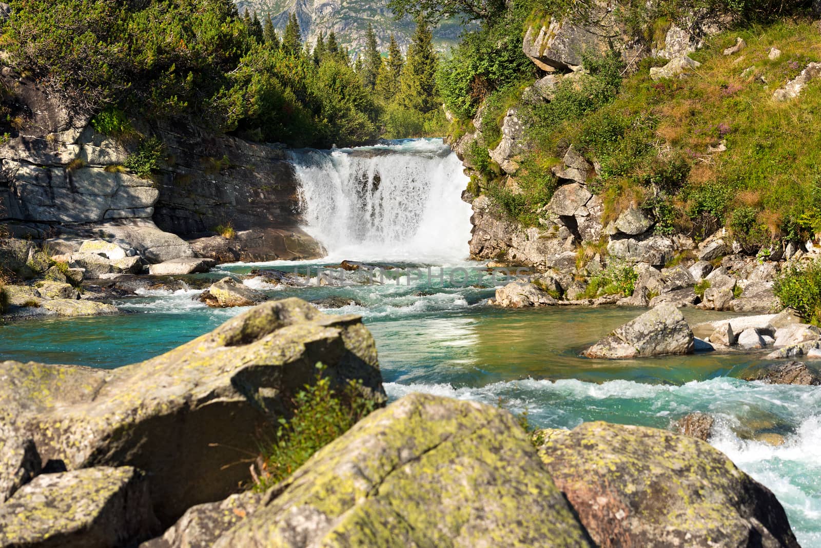 Waterfall in summer, Chiese River, in the National Park of Adamello Brenta, Val di Fumo. Trentino Alto Adige, Italy