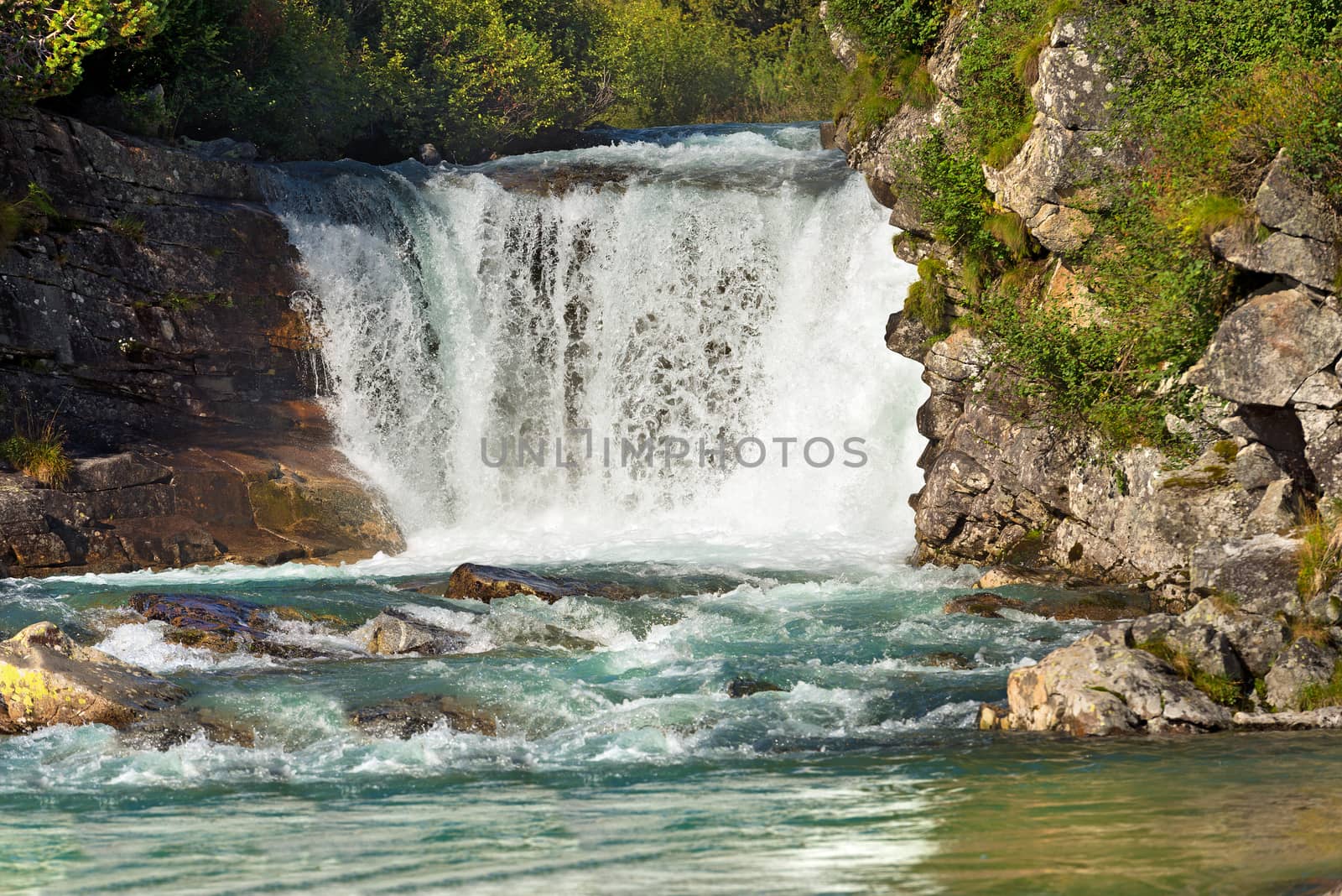 Waterfall in summer, Chiese River, in the National Park of Adamello Brenta, Val di Fumo. Trentino Alto Adige, Italy