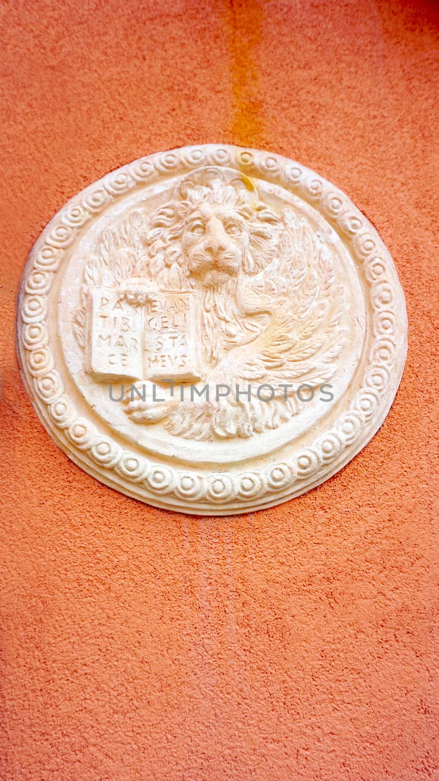 lion in circular shape bas relief art on orangel wall in Venice, italy