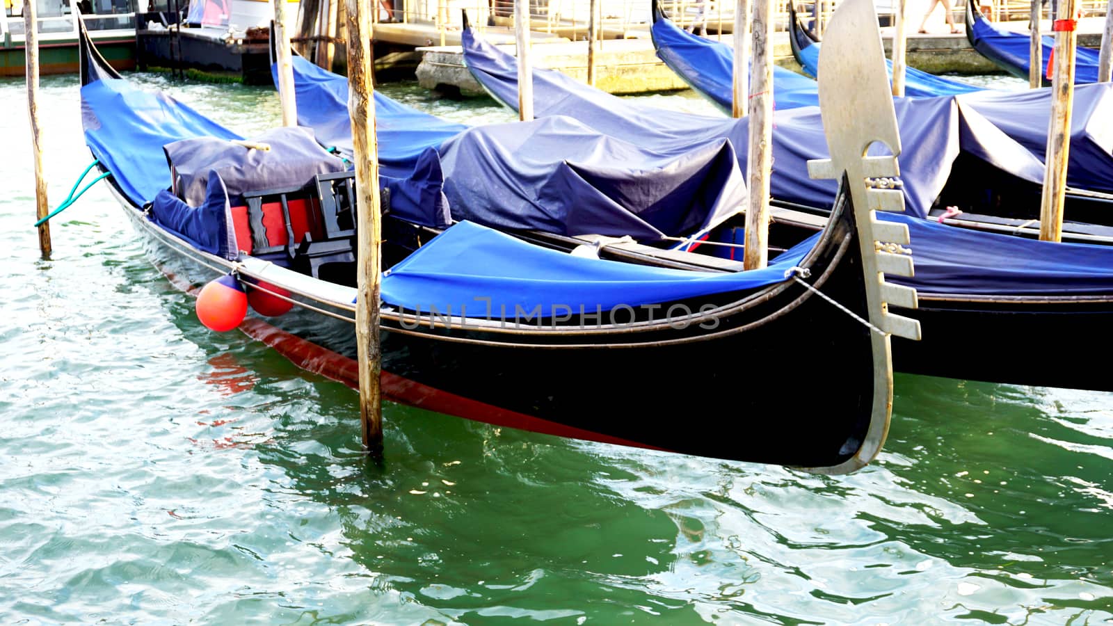 gondola boats floating by polarbearstudio