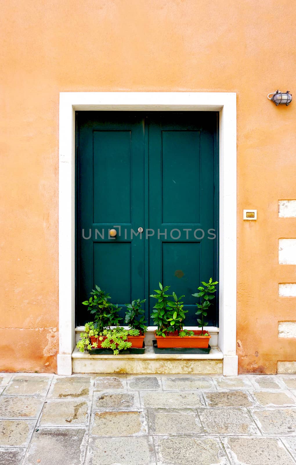 entrance green door of old building house in Venice, Italy