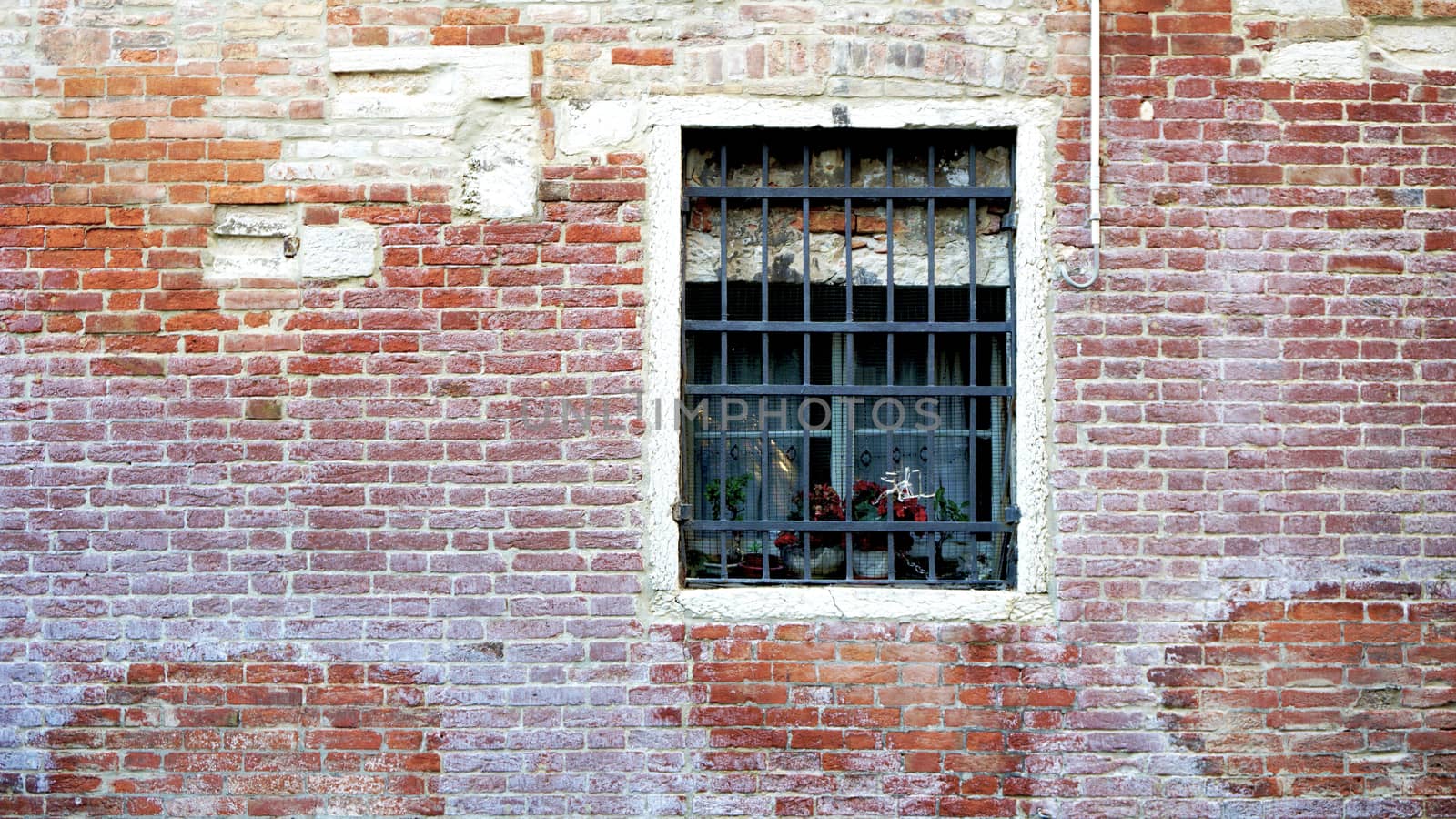 Window and old brick wall building  by polarbearstudio