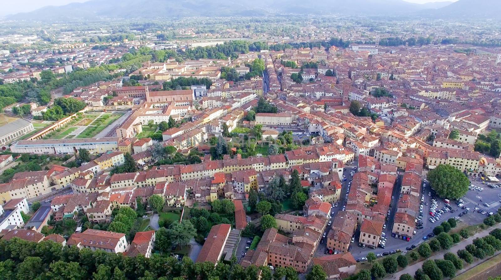 Aerial view of Lucca ancient town, Tuscany, Italy by jovannig