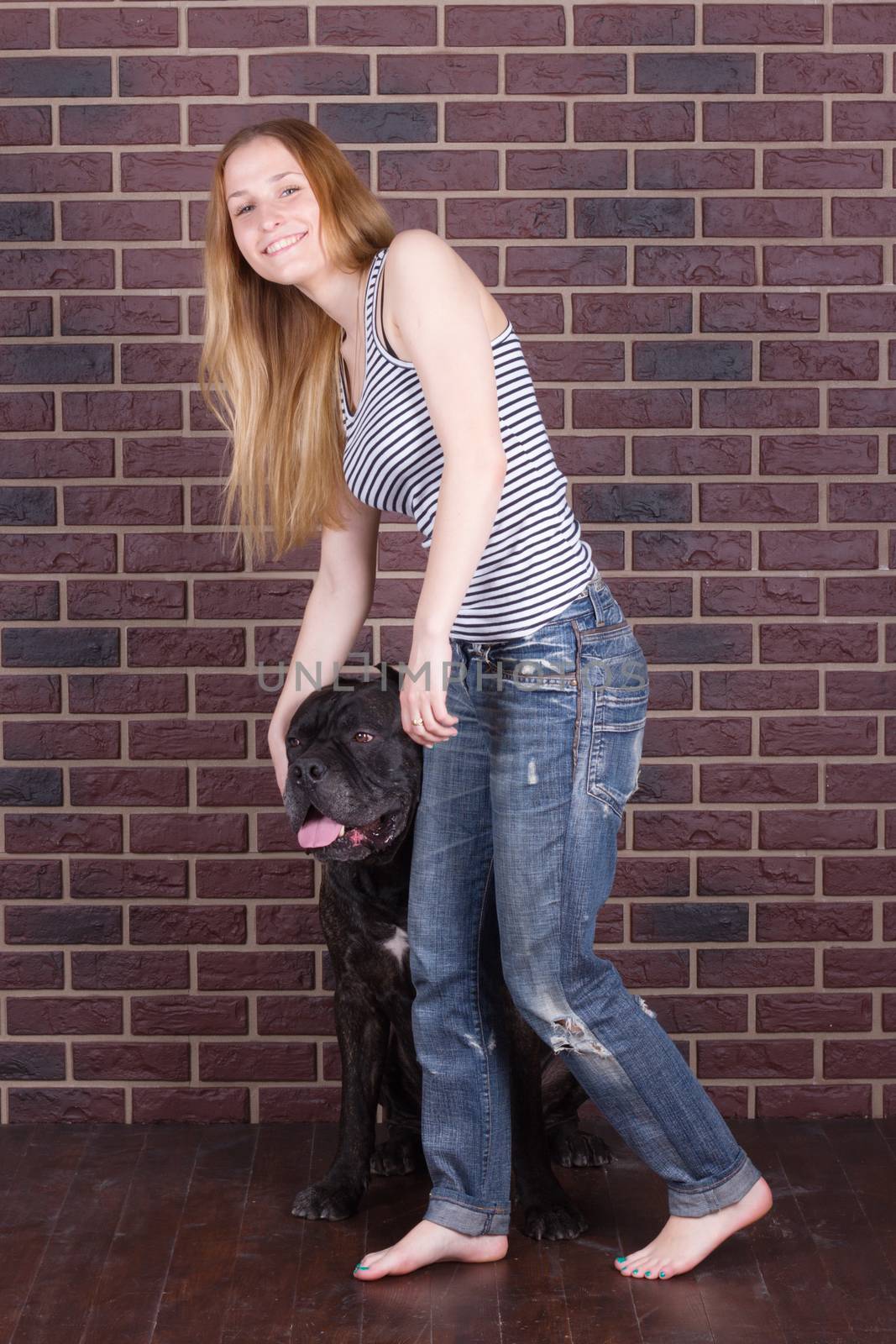 girl in jeans  standing near the wall and hugging a big dog Cane Corso