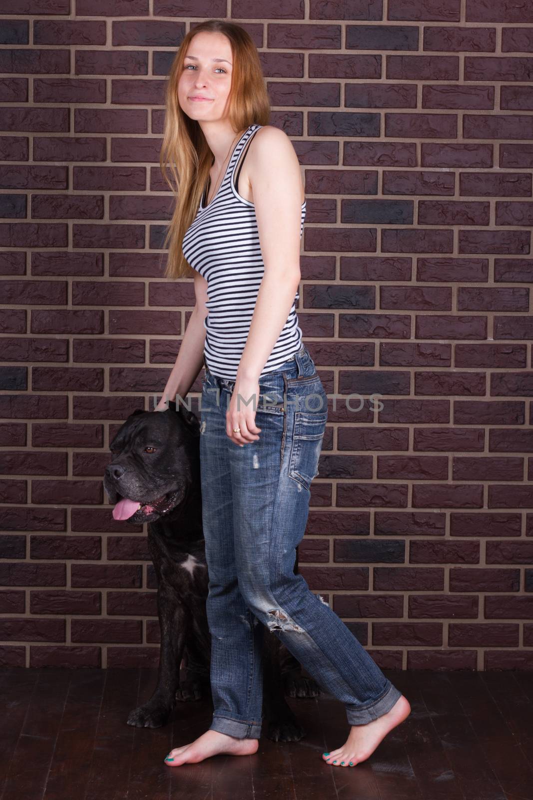 girl in jeans and shirt standing near a big dog Cane Corso by victosha