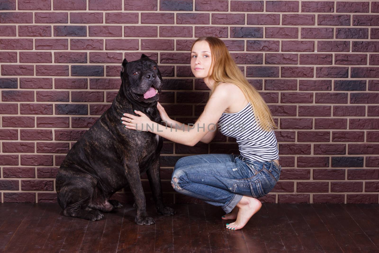 The girl in jeans and a t-shirt and sat down near the wall hugging a big dog Cane Corso
