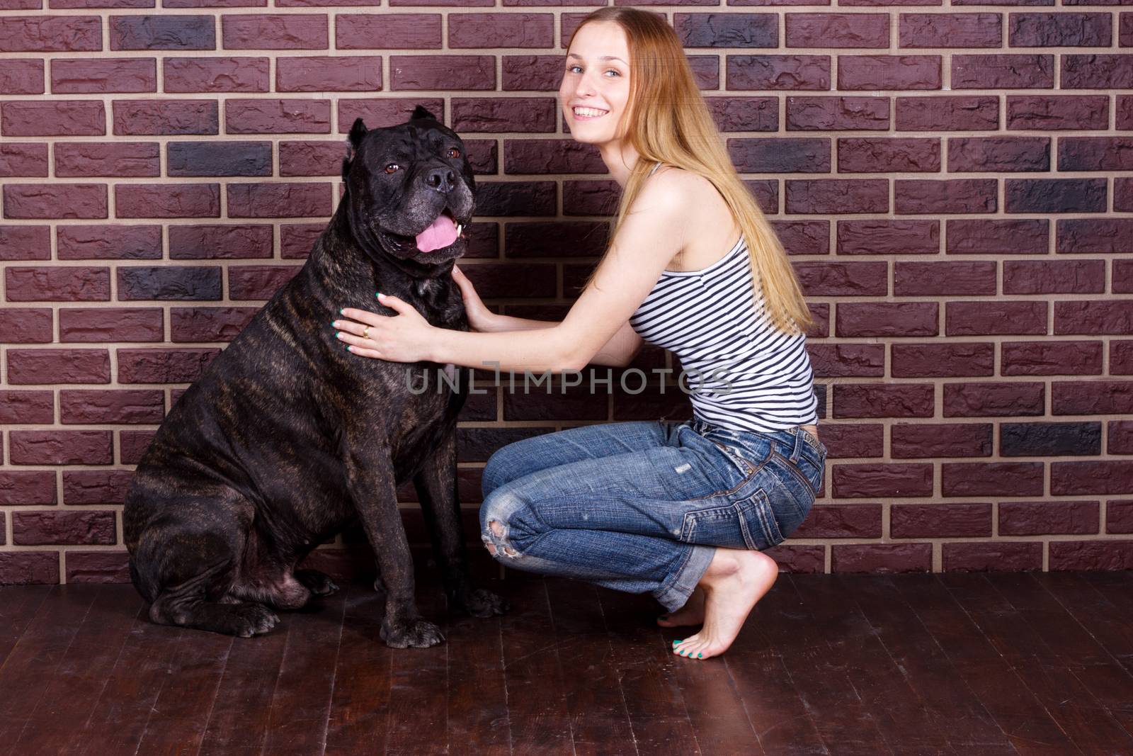 girl hugging a big dog Cane Corso by victosha
