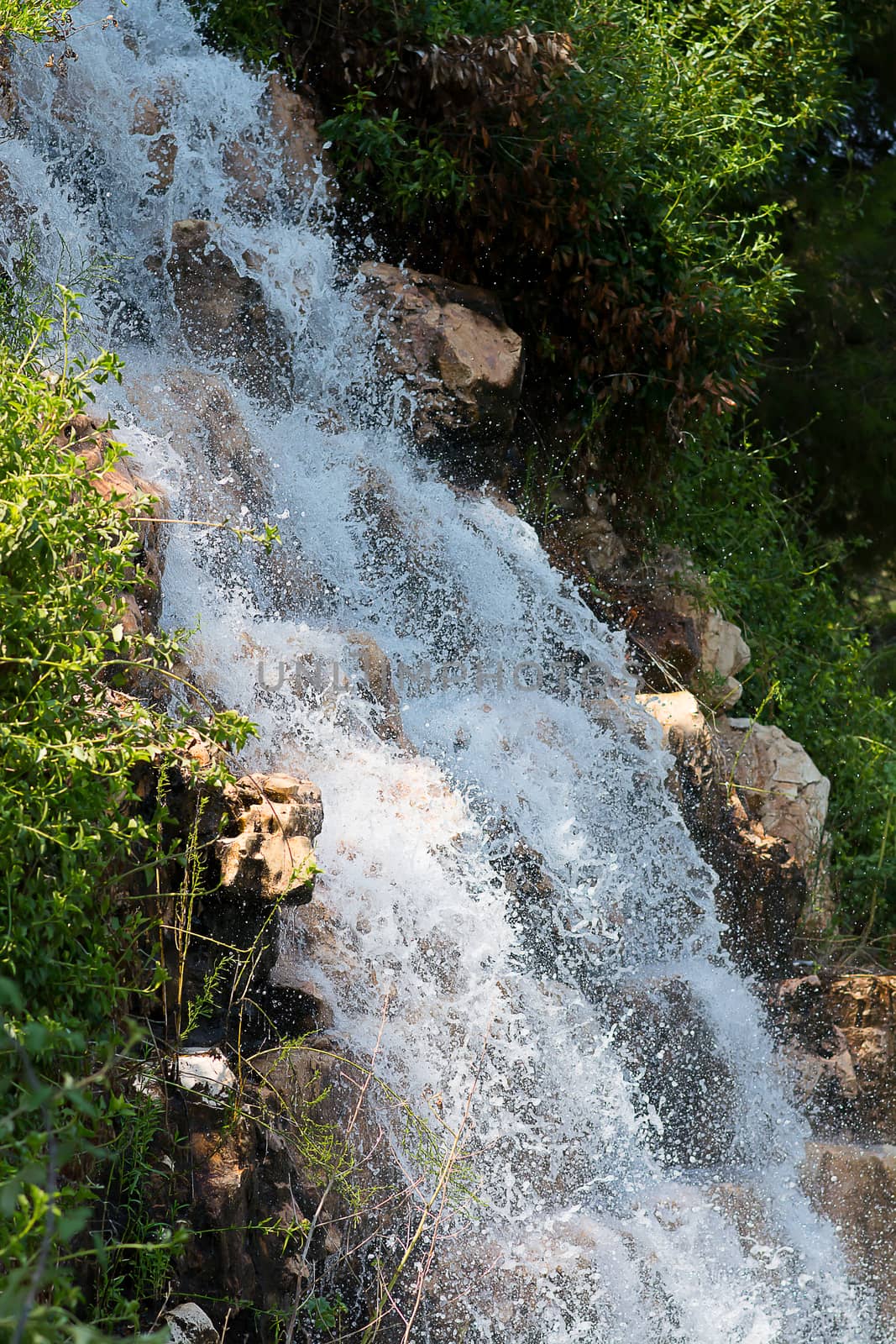 small waterfall in the middle of the green vegetation