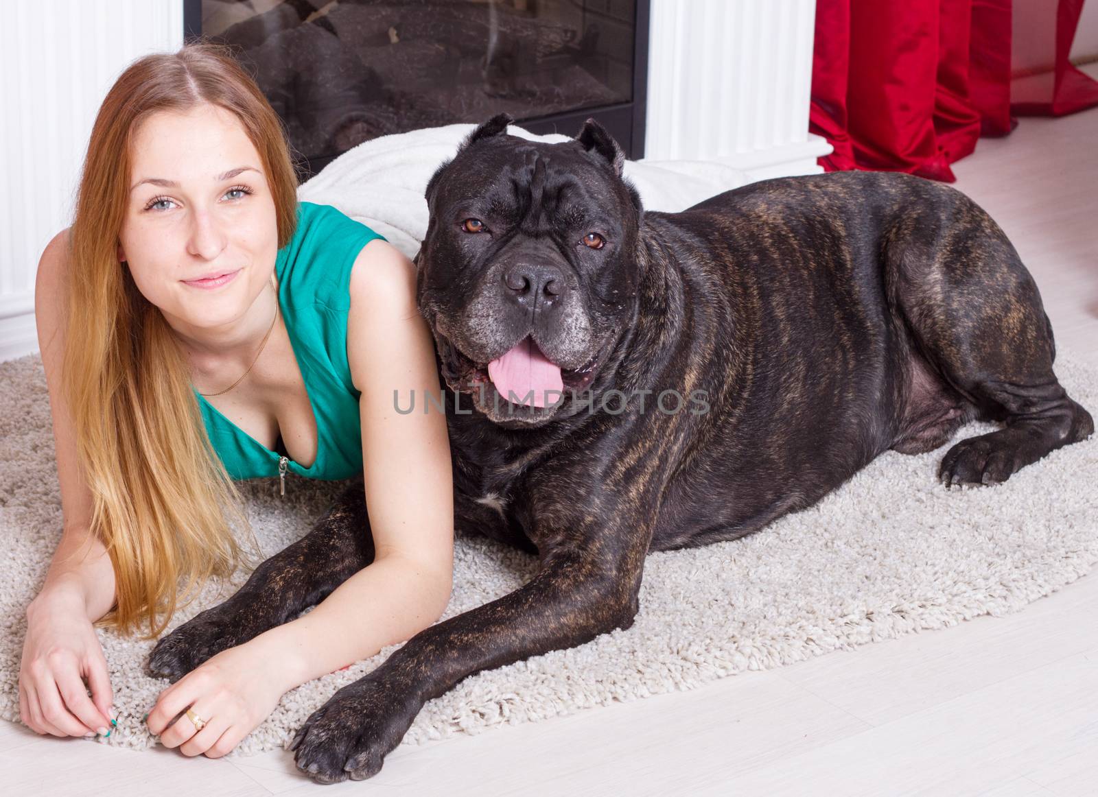 woman is at home next to fireplace with his big dog Cane Corso