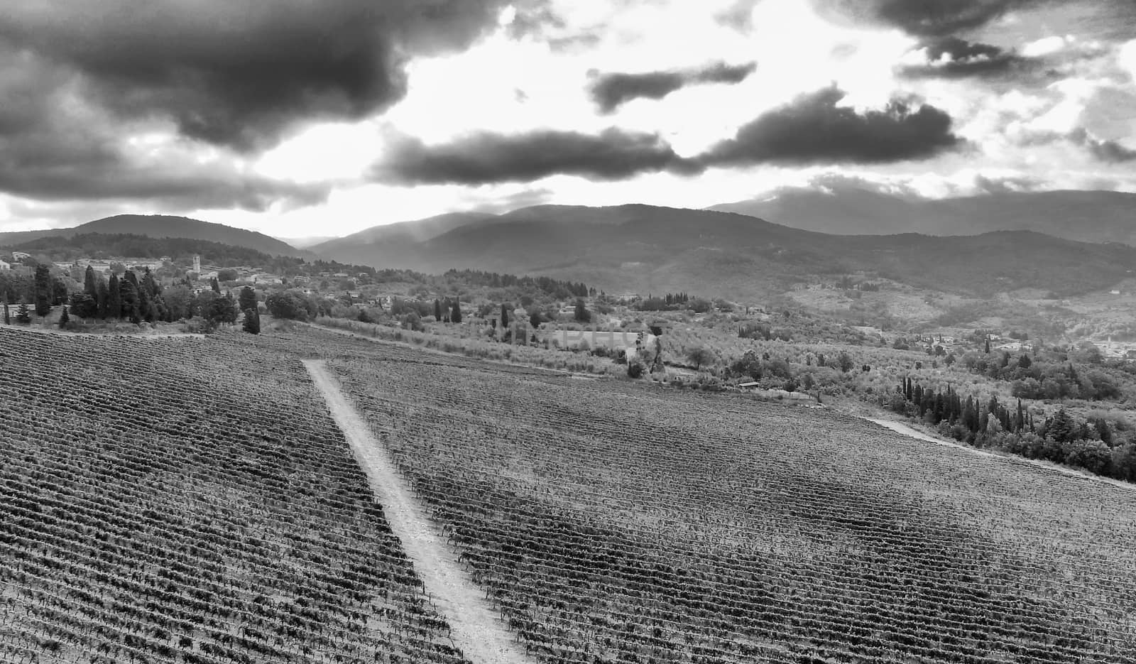 Countryside scenery, aerial view.