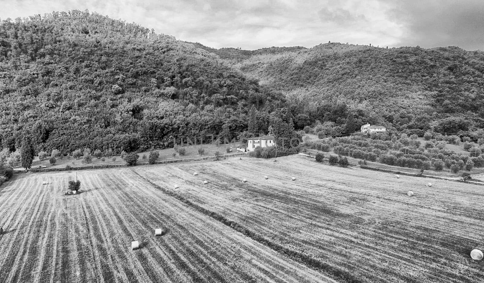 Wheat bales, beautiful aerial view by jovannig