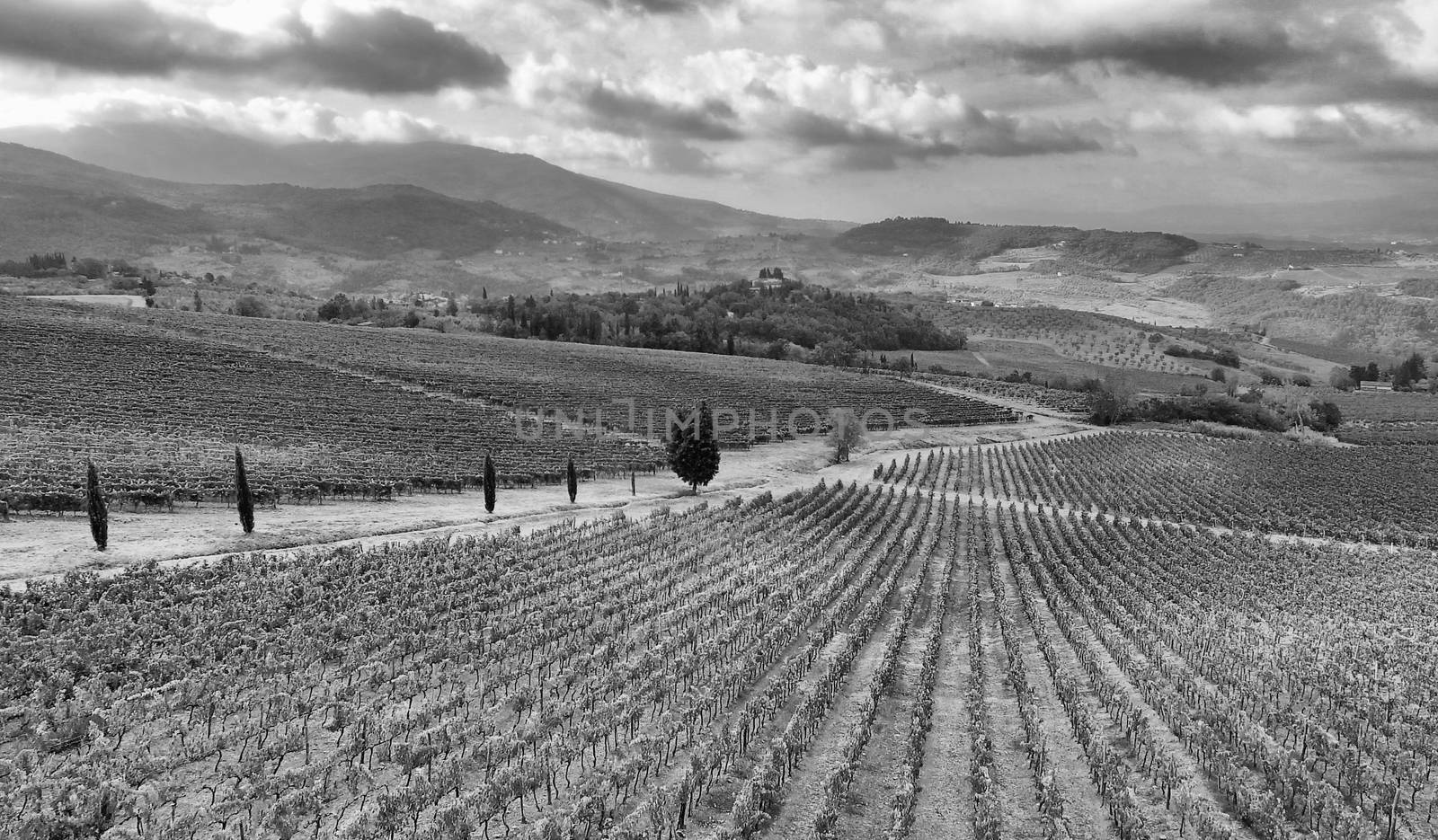 Countryside scenery, aerial view by jovannig