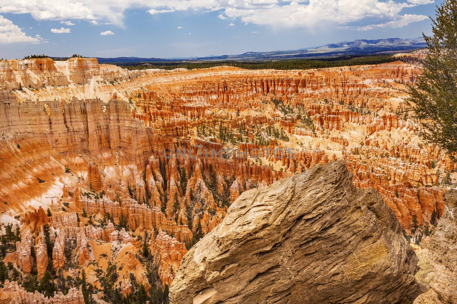 Sandstone Boulder Amphitheater Hoodoos Inspiration Point Bryce Canyon National Park Utah 