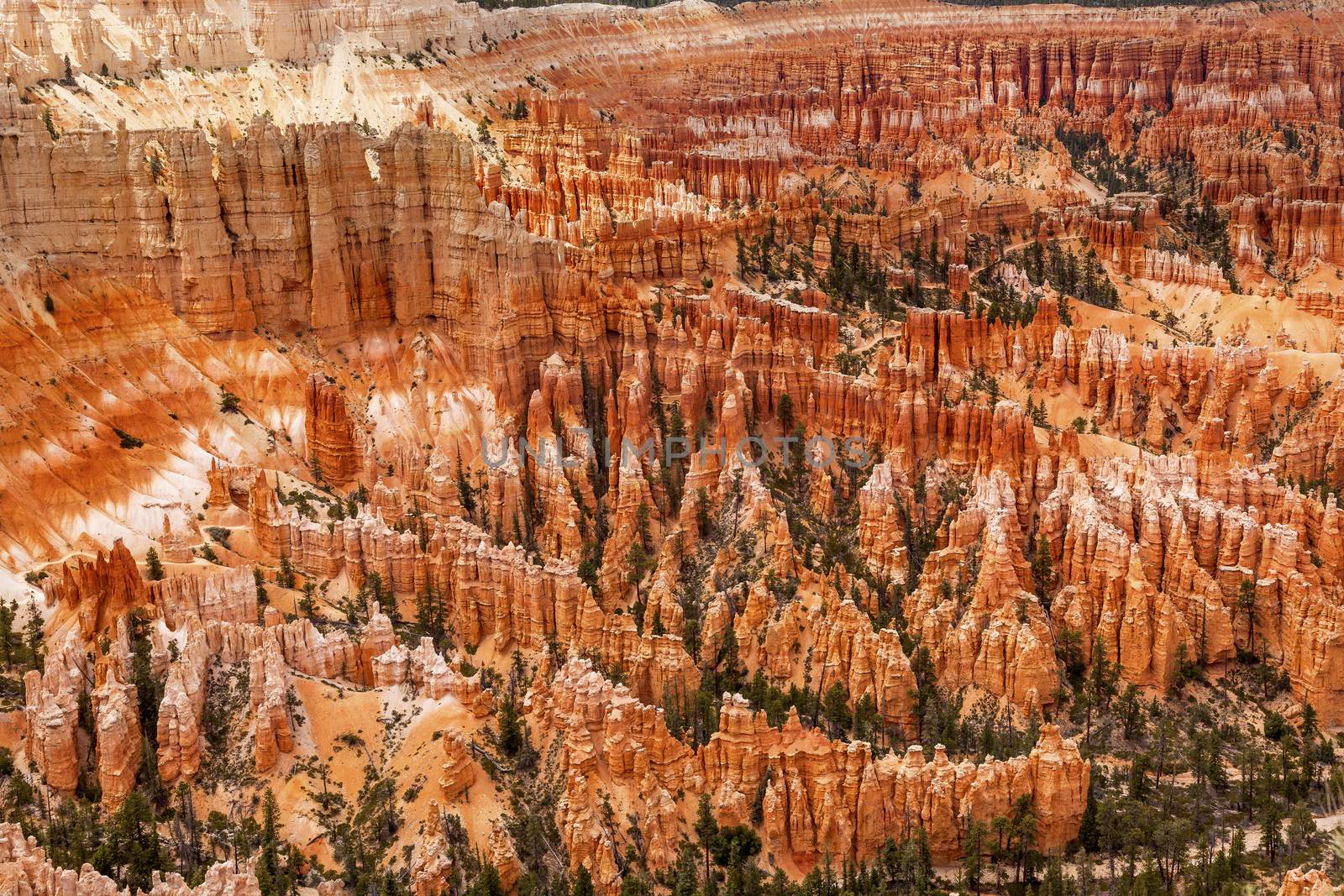 Amphitheater Hoodoos Inspiration Point Bryce Canyon National Park Utah by bill_perry