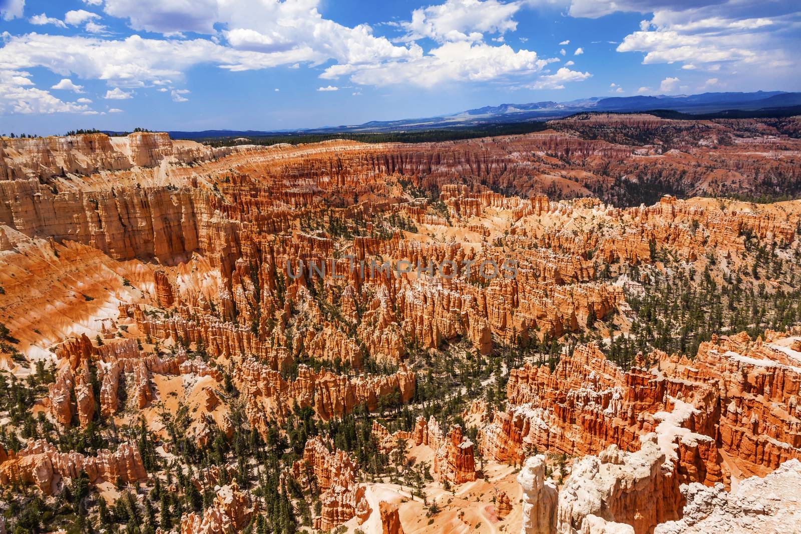 Amphitheater Hoodoos Bryce Point Bryce Canyon National Park Utah by bill_perry