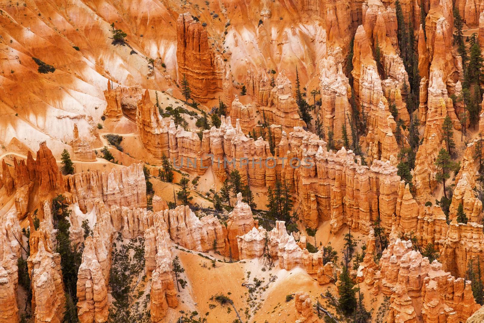 Amphitheater Hoodoos Bryce Point Bryce Canyon National Park Utah by bill_perry