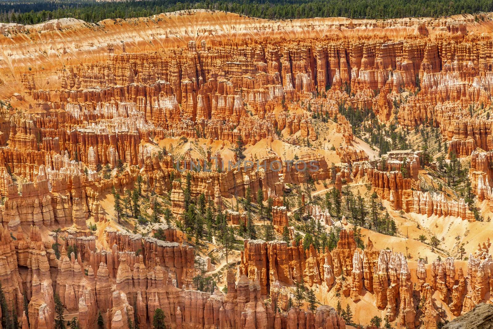 Amphitheater Hoodoos Inspiration Bryce Point Bryce Canyon National Park Utah by bill_perry