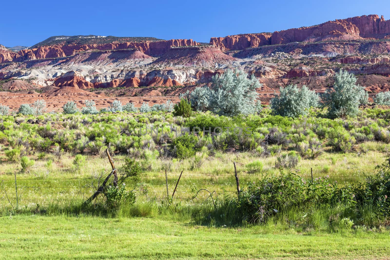 Red Rock Sandstone Mountains Green Grass Utah by bill_perry