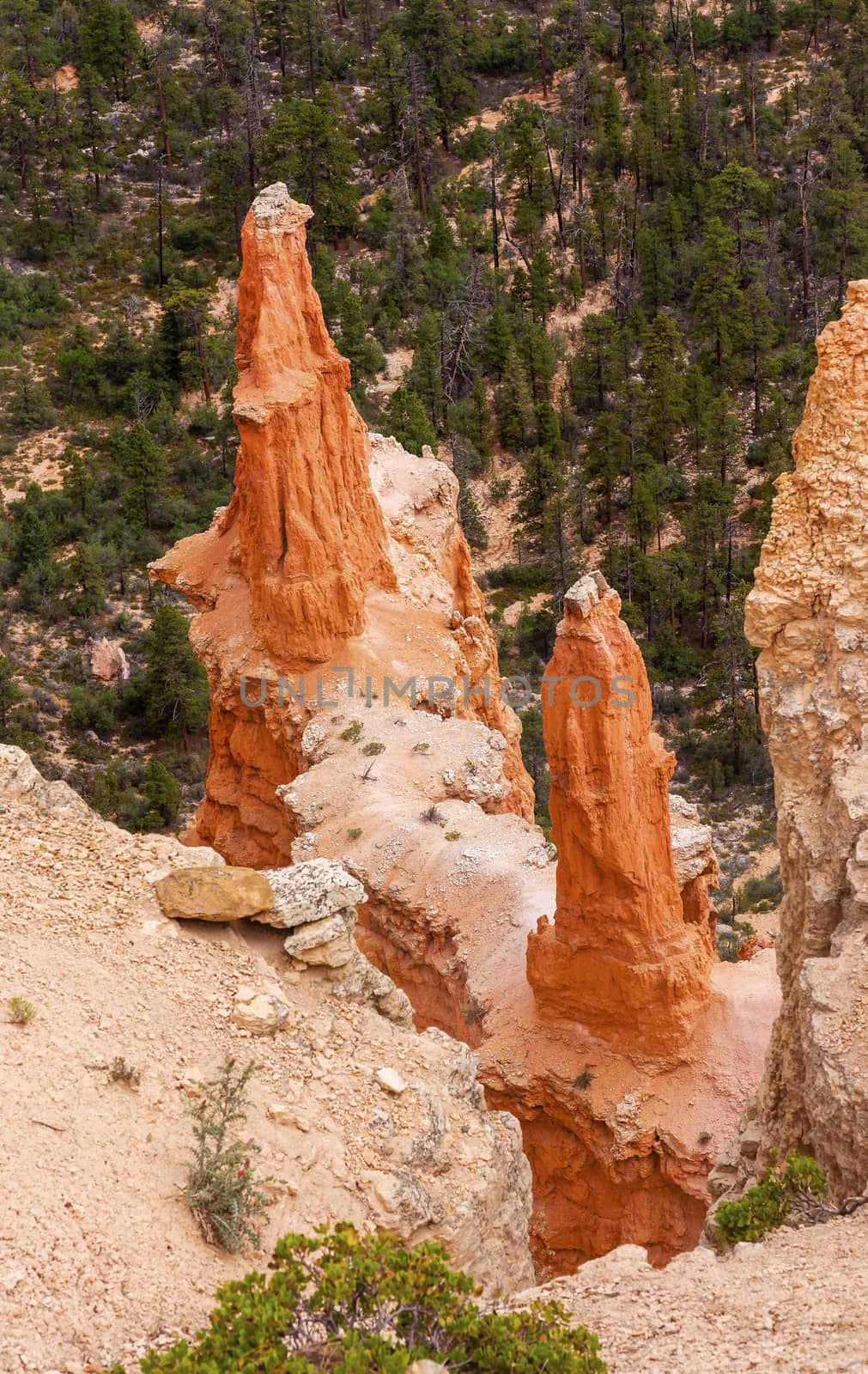 Sharp Pointed Hoodoos Bryce Point Bryce Canyon National Park Utah by bill_perry