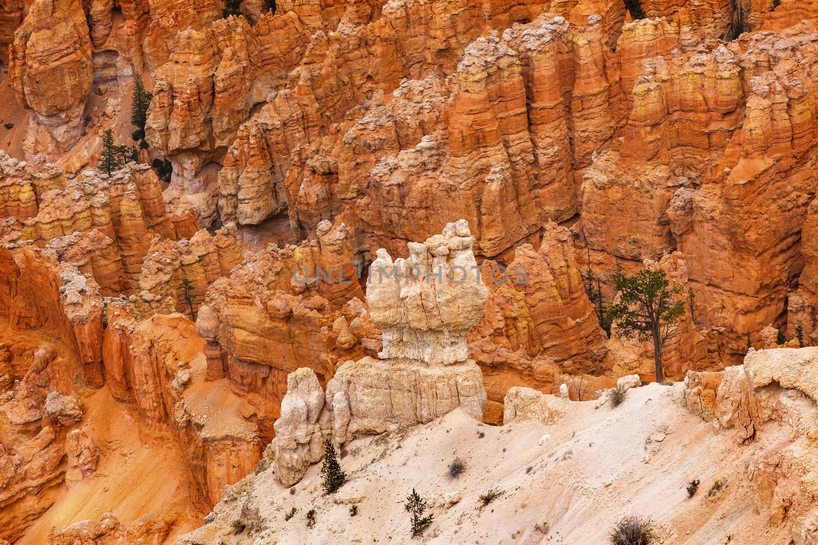 White Orange Hoodoos Bryce Point Bryce Canyon National Park Utah by bill_perry