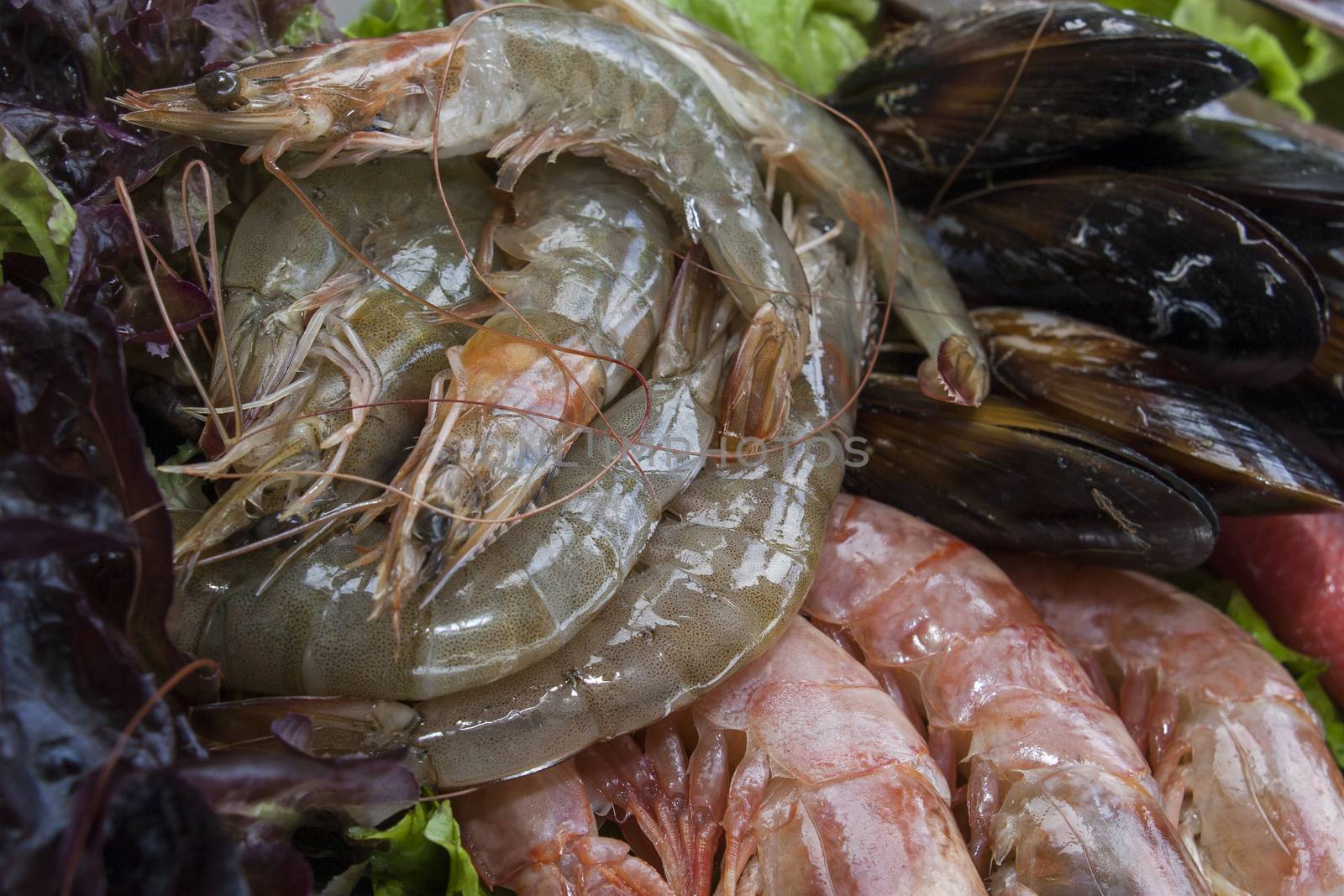 fresh shrimps on platter