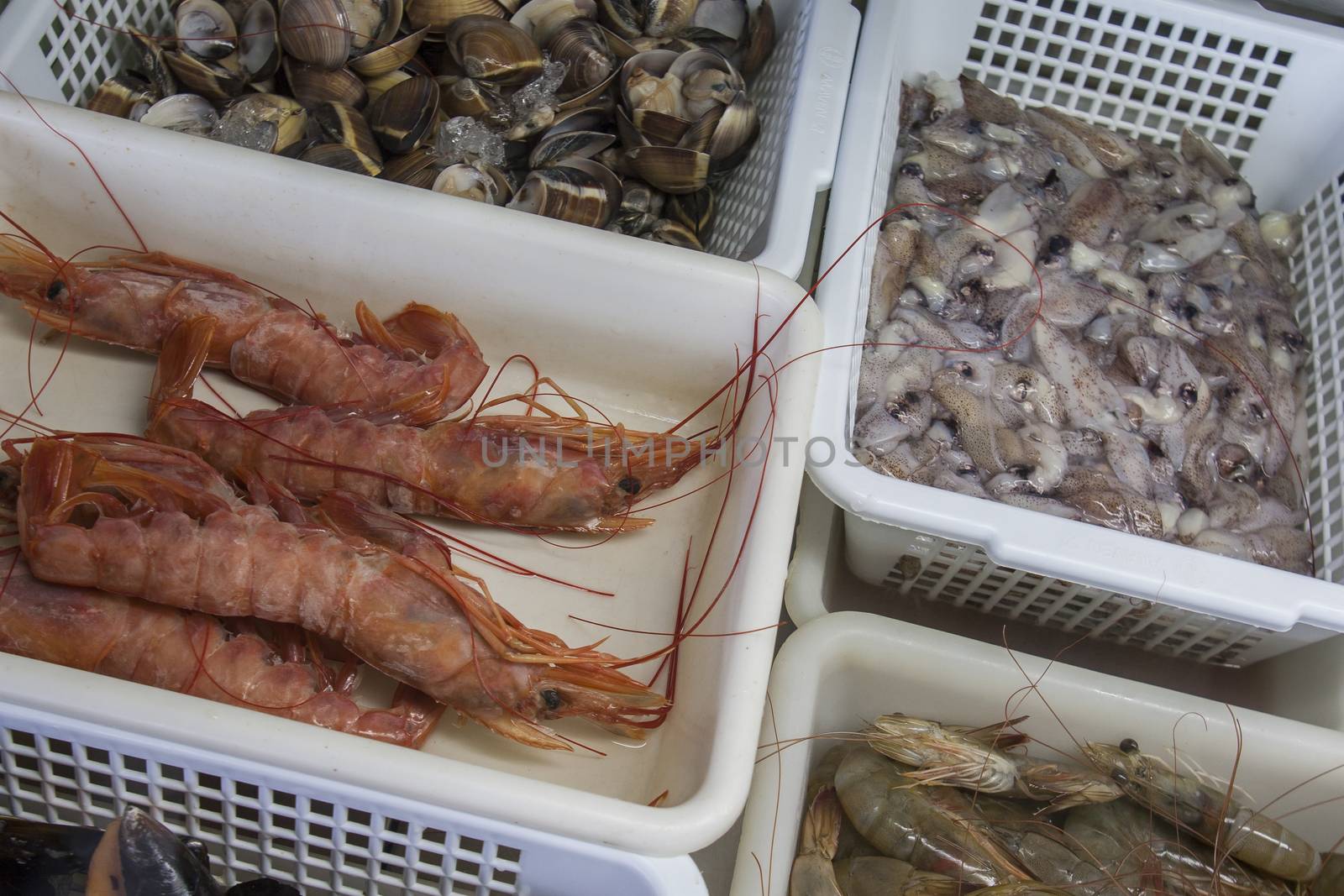 fresh shrimps and seafood in plastic boxes