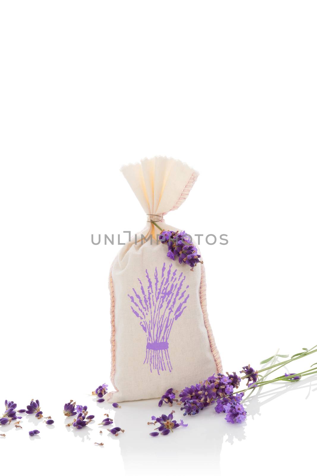 Lavender aromatherapy. Lavender herbs and bag with dry lavender isolated on white background. Alternative medicine.
