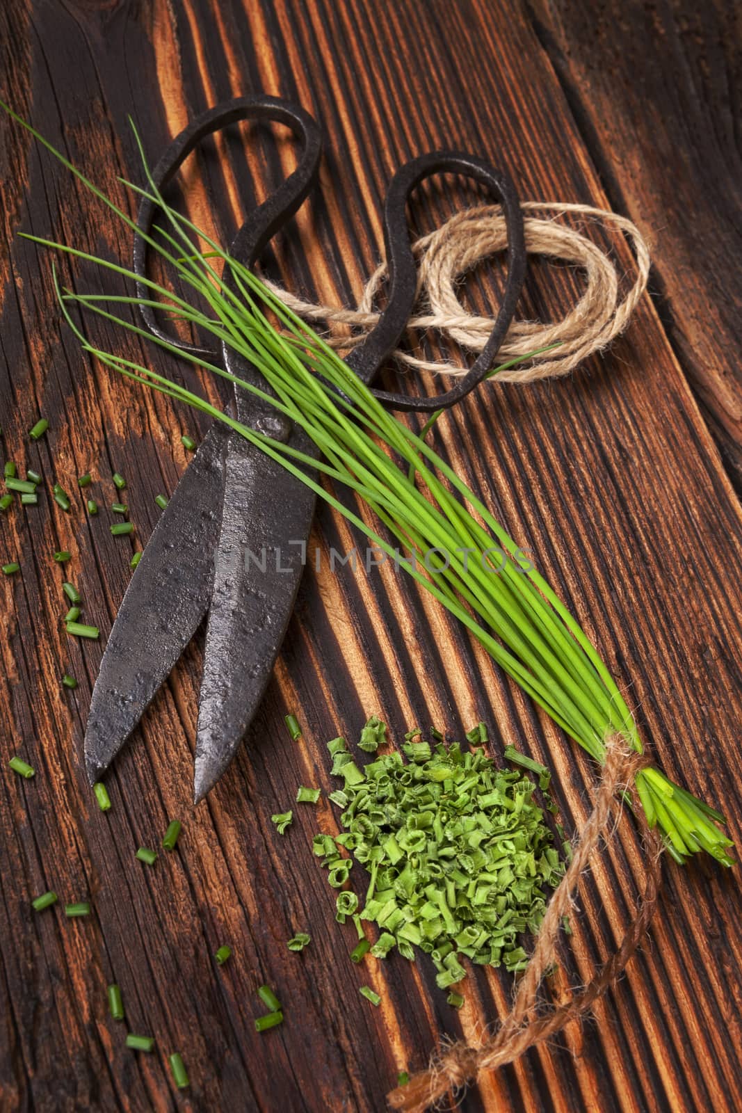Fresh and dry chives herb with vintage scissors on rustic wooden background. Culinary aromatic herbs.