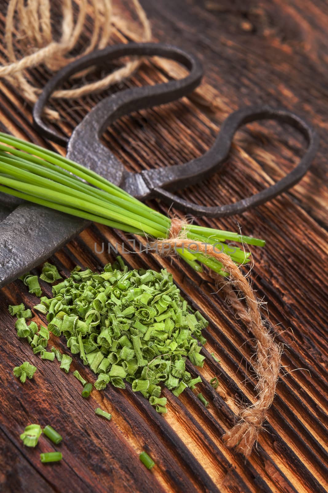 Fresh and dry chives herb with vintage scissors on rustic wooden background. Culinary aromatic herbs.